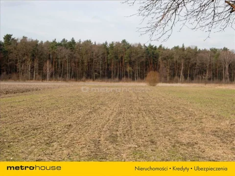 DAHY682 - zdjęcie nr 0