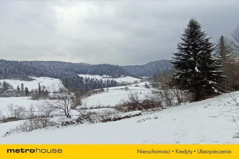 HOGU086 - zdjęcie nr 0