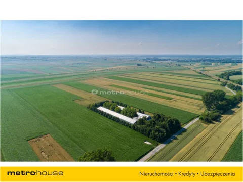 HOTA565 - zdjęcie nr 0