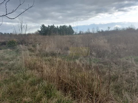 5977/2145/OGS - zdjęcie nr 0