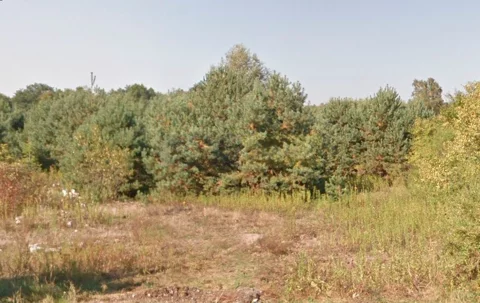 7716/2145/OGS - zdjęcie nr 0