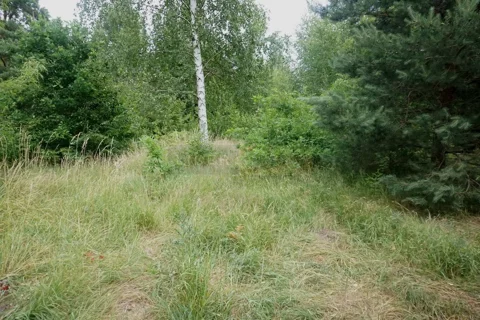 7601/2145/OGS - zdjęcie nr 0