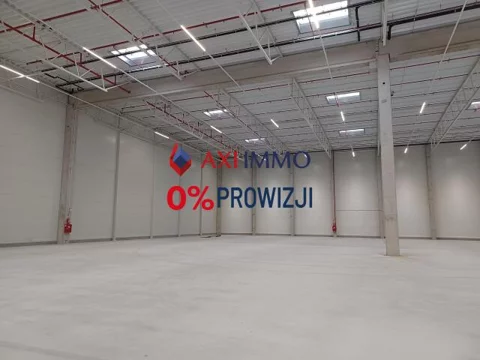 11308 - zdjęcie nr 0