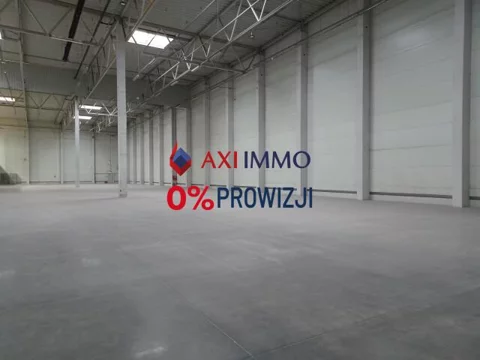 11131 - zdjęcie nr 0