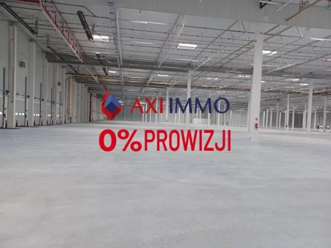 11117 - zdjęcie nr 0