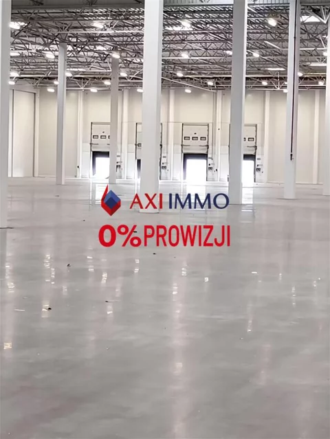 11062 - zdjęcie nr 0