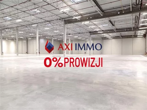 11138 - zdjęcie nr 0