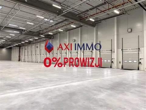 11199 - zdjęcie nr 0