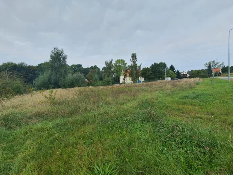 32522 - zdjęcie nr 0