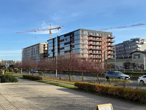 43428 - zdjęcie nr 0