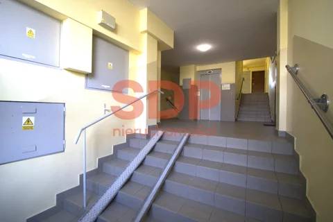 44089 - zdjęcie nr 0