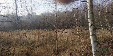 4/68/12/2019 - zdjęcie nr 0