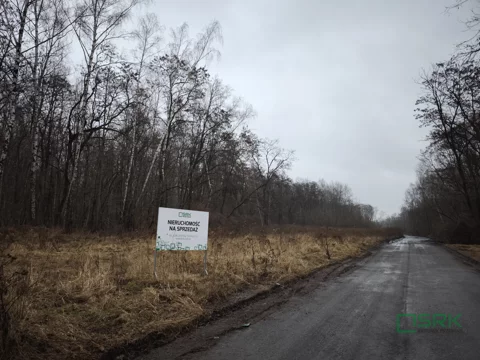 2/2/02/2026 - zdjęcie nr 0