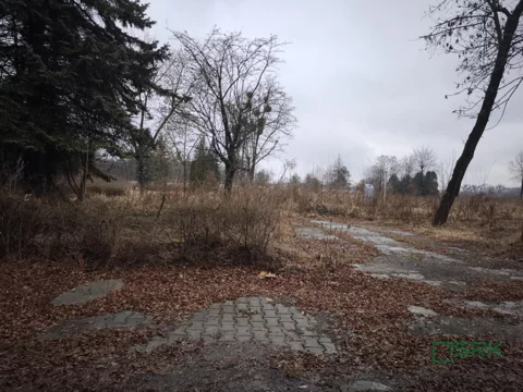 3/1/01/2026 - zdjęcie nr 0