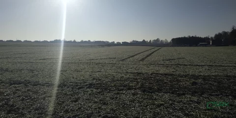 3/24/01/2020 - zdjęcie nr 0