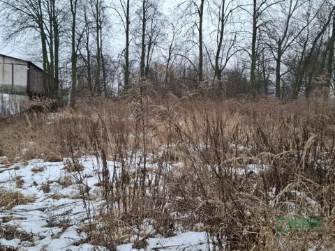 4/18/01/2026 - zdjęcie nr 0