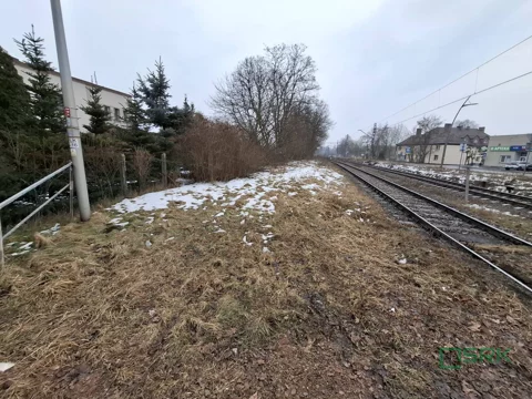 4/26/01/2026 - zdjęcie nr 0