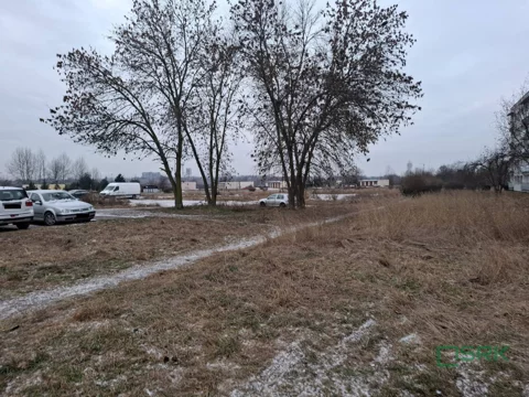 3/4/01/2026 - zdjęcie nr 0
