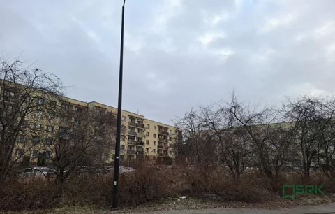 3/2/01/2026 - zdjęcie nr 0