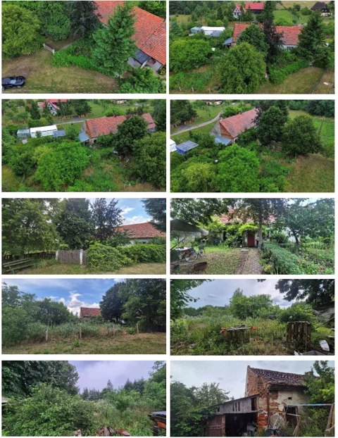 TTT-000001456 - zdjęcie nr 0