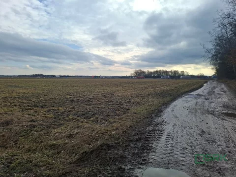 4/5/03/2026 - zdjęcie nr 0