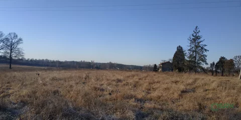 4/110/01/2020 - zdjęcie nr 0