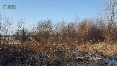 4/2/01/2020 - zdjęcie nr 0