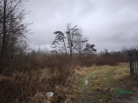 2/1/02/2026 - zdjęcie nr 0