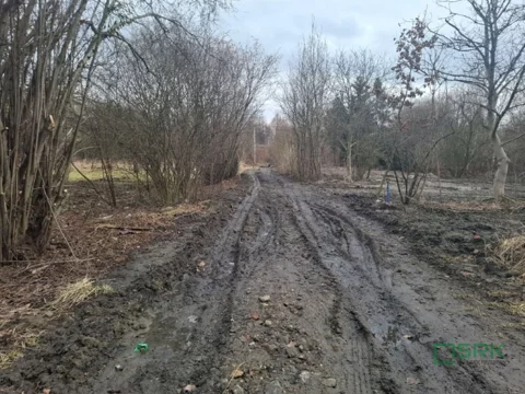 4/7/03/2026 - zdjęcie nr 0