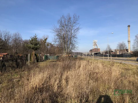 4/47/12/2019 - zdjęcie nr 0