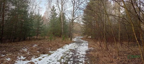 2/3/01/2026 - zdjęcie nr 0