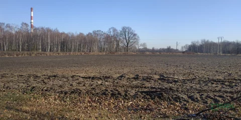 4/146/01/2020 - zdjęcie nr 0
