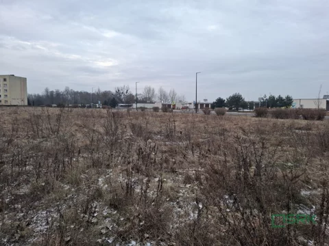 3/3/01/2026 - zdjęcie nr 0