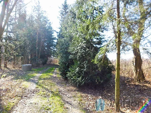 WIL840014 - zdjęcie nr 0