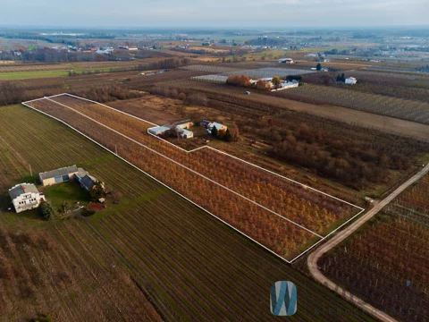 WIL958421 - zdjęcie nr 0
