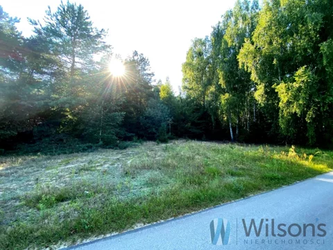 WIL321047 - zdjęcie nr 0