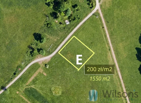 WIL585849 - zdjęcie nr 0