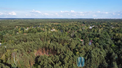 WIL919327 - zdjęcie nr 0