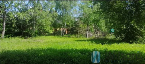 WIL439986 - zdjęcie nr 0