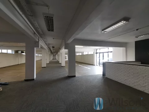 WIL611442 - zdjęcie nr 0