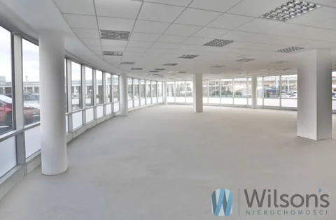 WIL492646 - zdjęcie nr 0