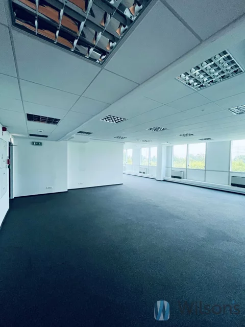 WIL642189 - zdjęcie nr 0