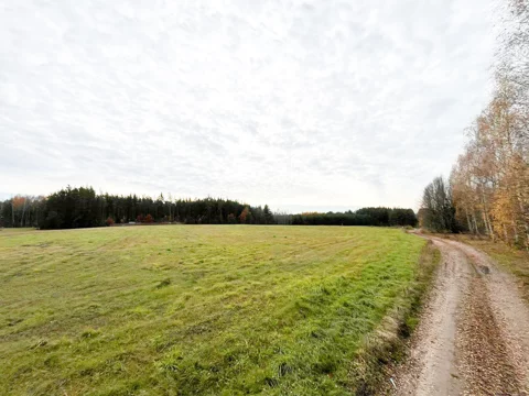 241/8652/OGS - zdjęcie nr 0
