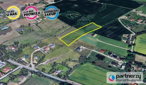 PAN320191 - zdjęcie nr 0