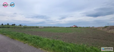 PAN417363 - zdjęcie nr 0