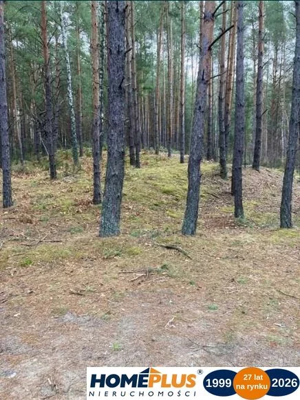 23316/78/OGS - zdjęcie nr 0