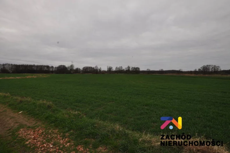 Działka 6 000,00 m², oferta nr , 161480227, Zielona Góra, Zawada