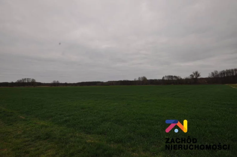 Działka 20 600,00 m², oferta nr , 161030227, Zielona Góra, Zawada