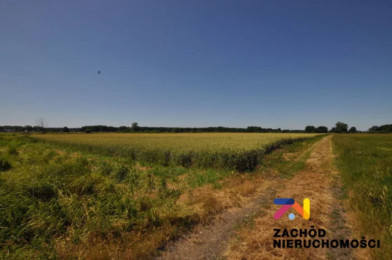 Działka 46 675,00 m², oferta nr , 162000227, Zielona Góra, Zawada