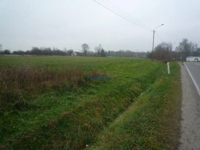 Działka 10 000,00 m², oferta nr , 18236, Prażmów